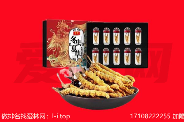 昆明市富民回收虫草.jpg